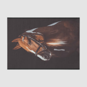 Beautiful Brown Paint Horse Portrait Photo Tissue Paper