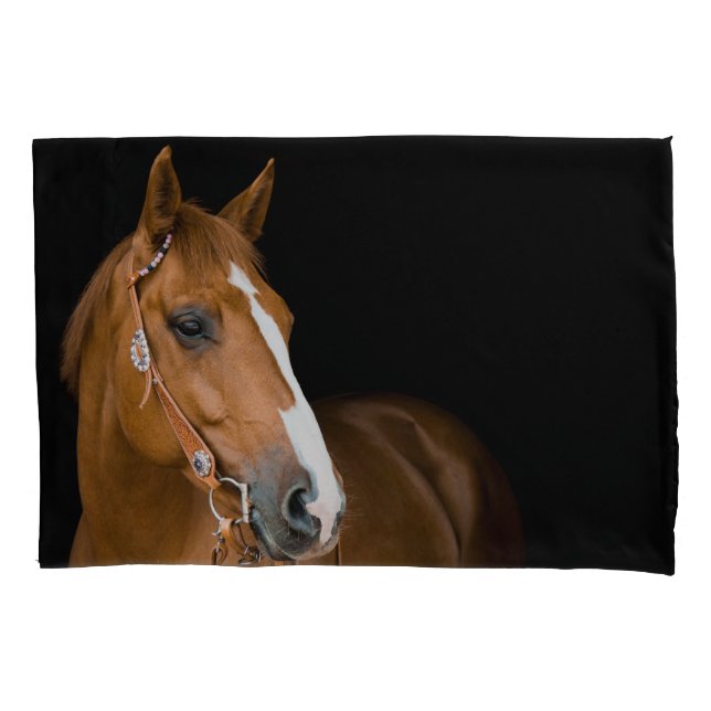 Beautiful Brown White Quarter Horse Photo Pillow Case (Front)