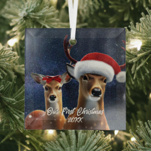 Beautiful Buck and Doe Glass Ornament