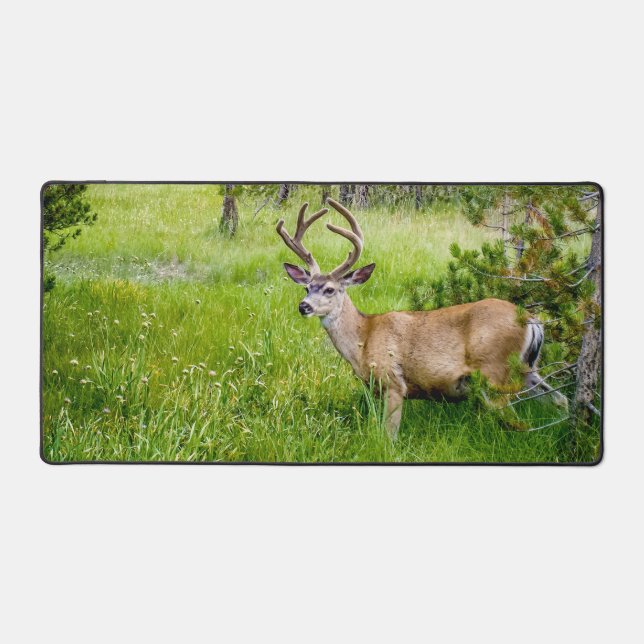 Beautiful Buck in the Meadow Desk Mat (Front)
