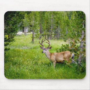 Beautiful Buck in the Meadow Mousepad