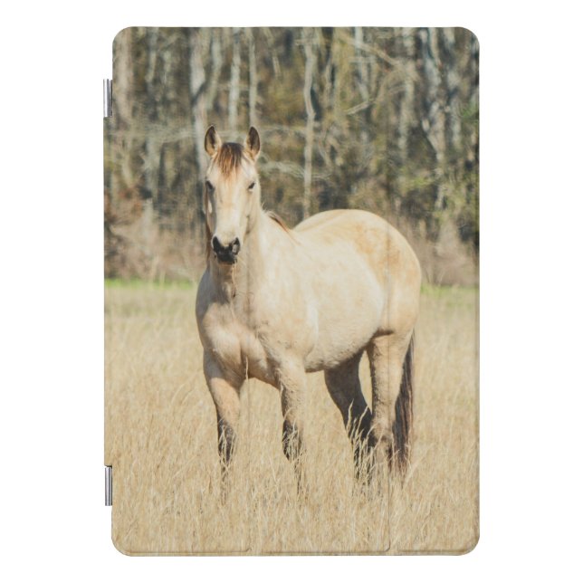 Beautiful Buckskin Horse iPad Pro Cover (Front)