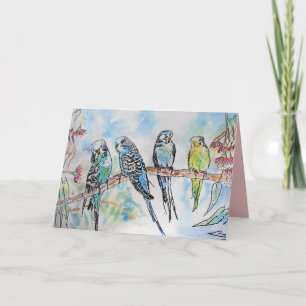 Beautiful Budgies Budgerigars and Gum Blossom Card