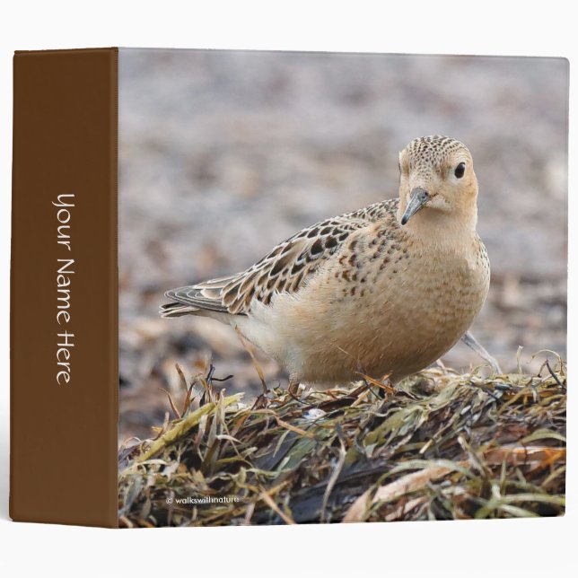 Beautiful Buff-Breasted Sandpiper at the Beach 3 Ring Binder (Front/Spine)
