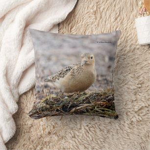 Beautiful Buff-Breasted Sandpiper at the Beach Throw Pillow