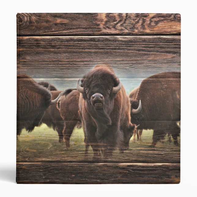 Beautiful Buffalo Herd 3 Ring Binder (Front)