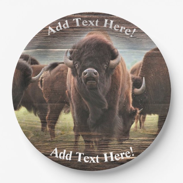 Beautiful Buffalo Herd  Paper Plates (Front)
