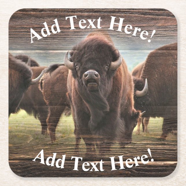 Beautiful Buffalo Herd Square Paper Coaster (Front)