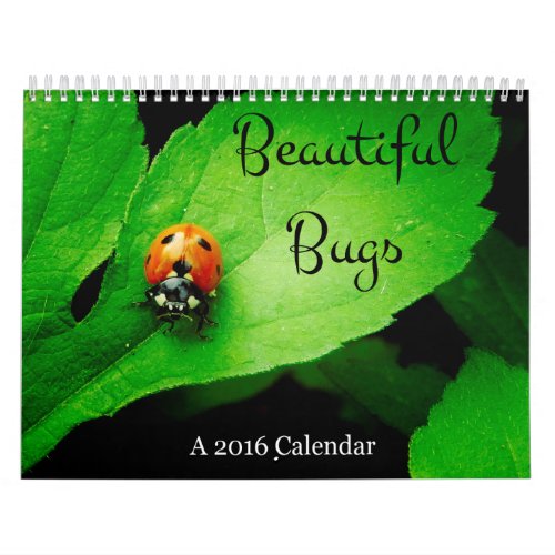 Beautiful Bugs 2016 Calendar