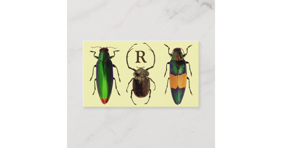 Beautiful Bugs | Insects | Monogram | Entomologist Business Card ...