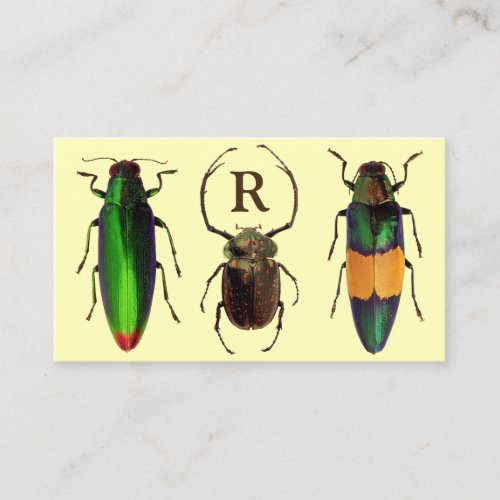 Beautiful Bugs  Insects  Monogram  Entomologist Business Card