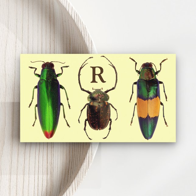 Beautiful Bugs | Insects | Monogram | Entomologist Business Card (Creator Uploaded)