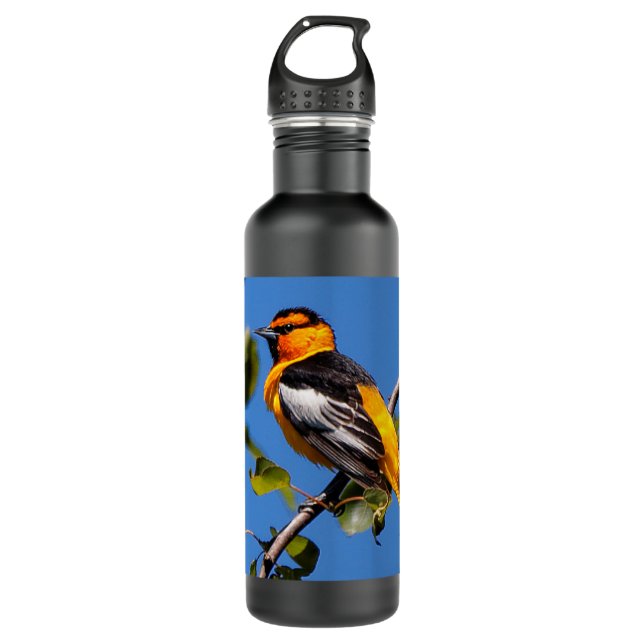 Beautiful Bullock's Oriole the Pear Tree Stainless Steel Water Bottle (Front)