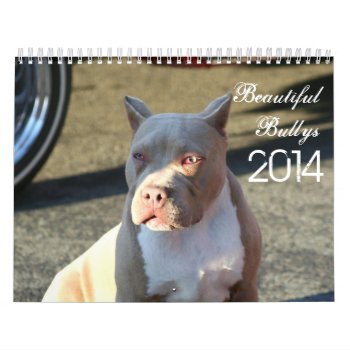 Beautiful Bullys 2014 Dog Calendar by ritmoboxer at Zazzle