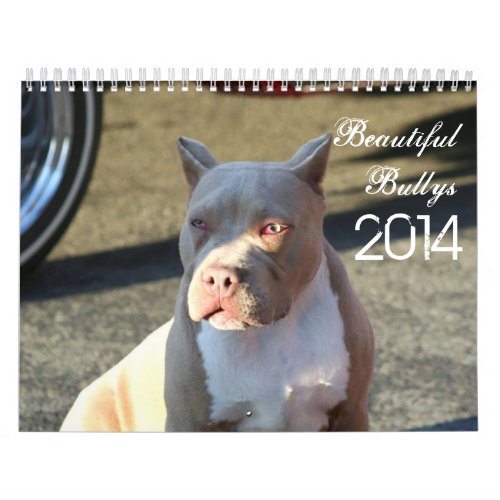 Beautiful Bullys 2014 Dog Calendar