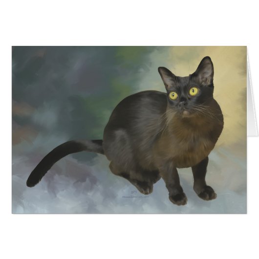 Beautiful Burmese (Front Horizontal)