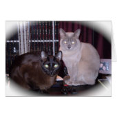 Beautiful Burmese (Front Horizontal)