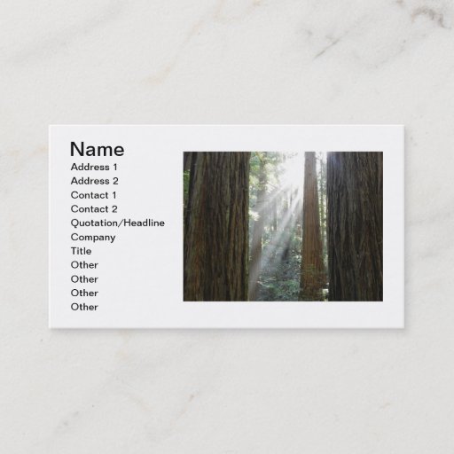 Customizable Beautiful Business Card