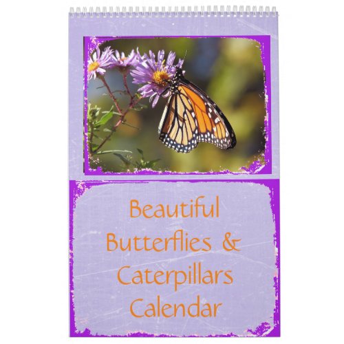 Beautiful Butterflies and Caterpillars Calendar
