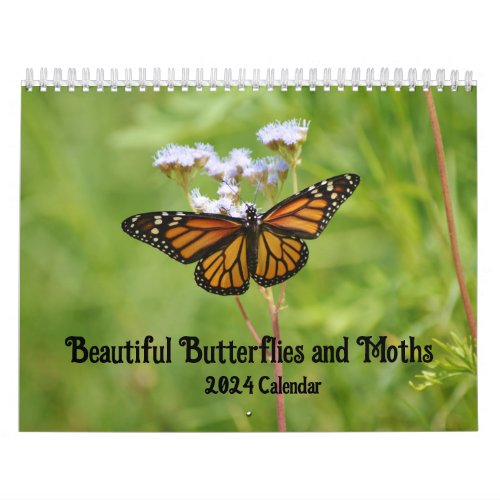 Beautiful Butterflies and Moths 2024 Calendar
