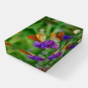 Beautiful Butterflies Paperweight