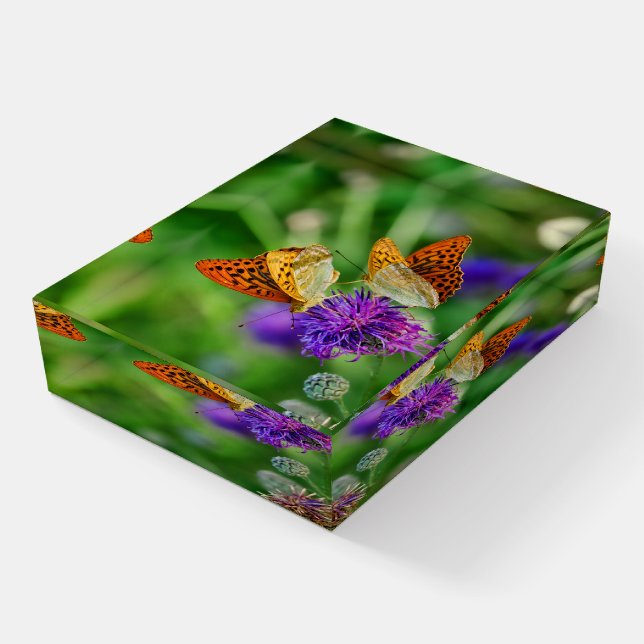 Beautiful Butterflies Paperweight (Angled)
