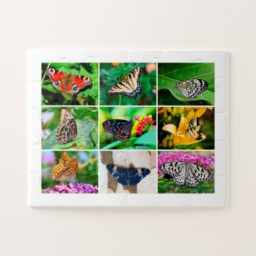 Beautiful Butterflies Photo Collage Age 4 30 Pcs Jigsaw Puzzle