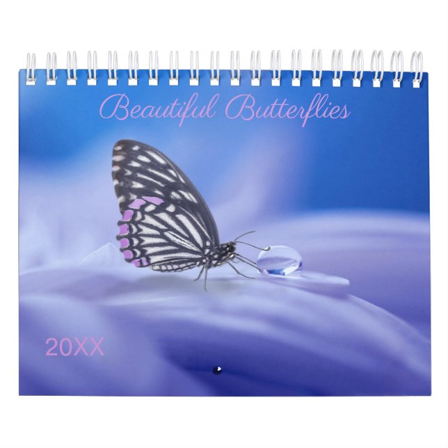 Beautiful Butterflies Photography Calendar (Cover)