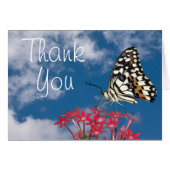 Beautiful Butterfly (Front Horizontal)