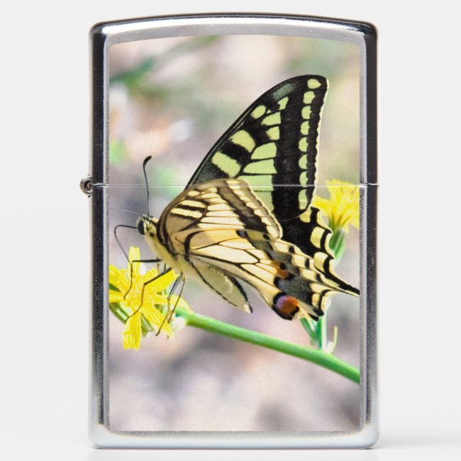 Beautiful Butterfly and Yellow Flowers
