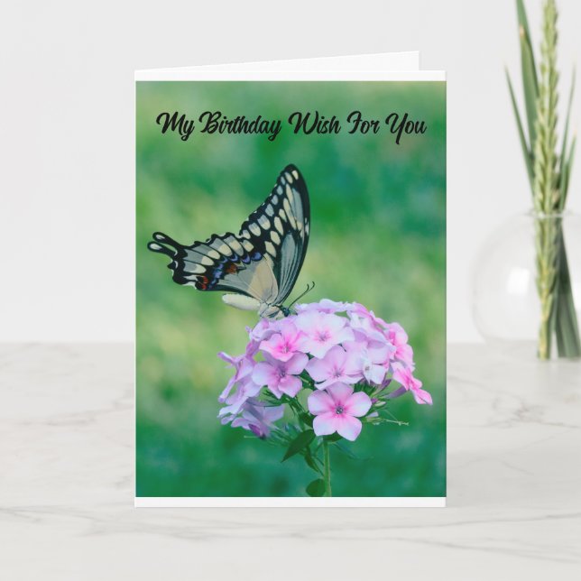 Beautiful Butterfly Birthday Greeting Card (Front)