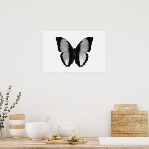 Beautiful Butterfly Black And White Photography Poster
