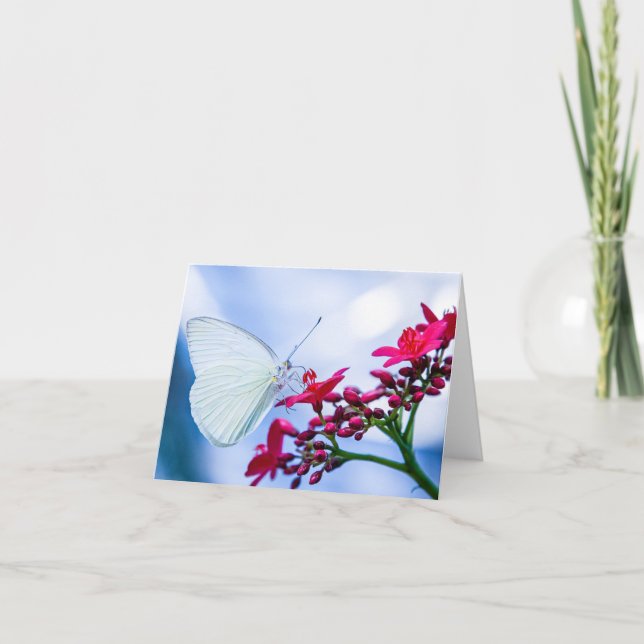 Beautiful Butterfly Blank Notecard (Front)
