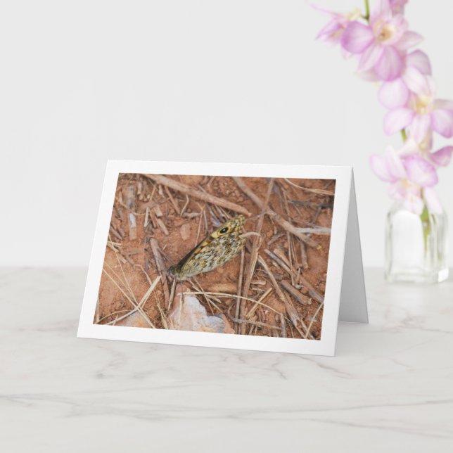 Beautiful Butterfly Card (Orchid)