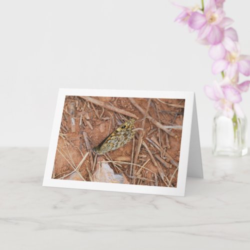 Beautiful Butterfly Card