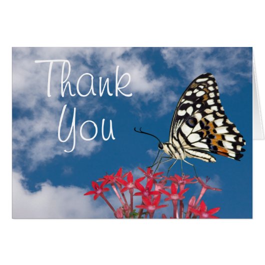 Beautiful Butterfly Cards (Front Horizontal)