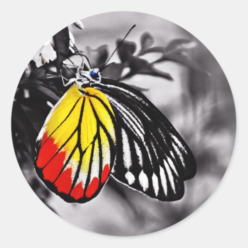 Beautiful Butterfly Classic Round Sticker