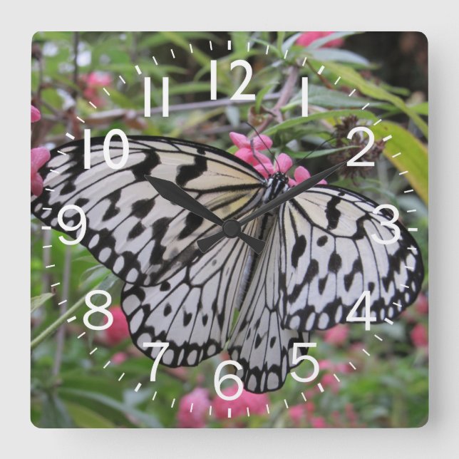 Beautiful Butterfly Closeup Square Wall Clock (Front)