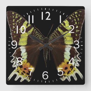 Beautiful Butterfly Closeup Square Wall Clock