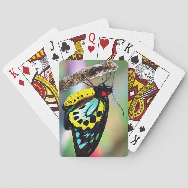 Beautiful Butterfly Deck of Playing Cards (Back)