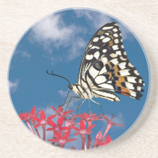 Beautiful Butterfly Drink Coaster (Front)
