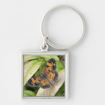 Beautiful Butterfly in Nature Keychain