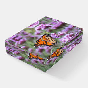 Beautiful Butterfly in Purple Flowers Paperweight