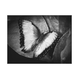 Black White Butterfly Canvas Art Prints Zazzle