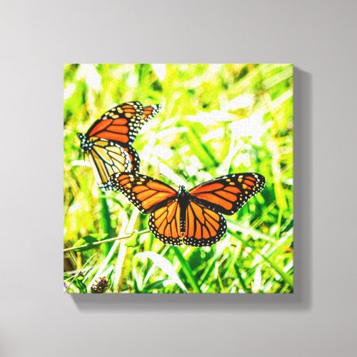 Beautiful Butterfly Insects Nature Canvas Print