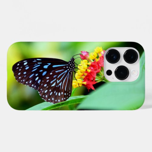 Beautiful Butterfly iPhone  iPad case