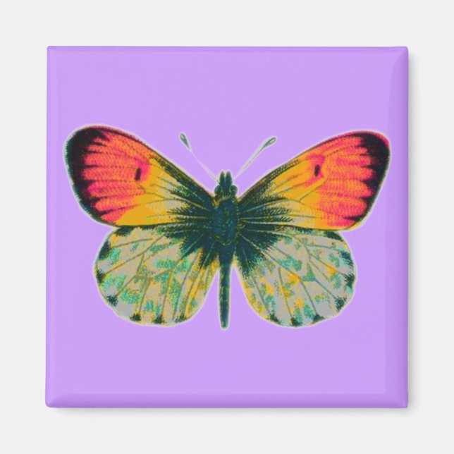 Beautiful Butterfly Magnet (Front)