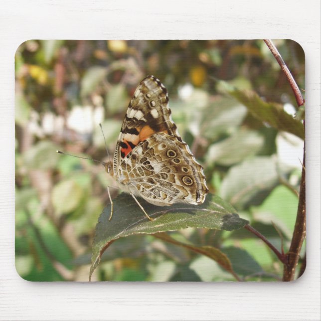 Beautiful Butterfly Mouse Mat (Front)