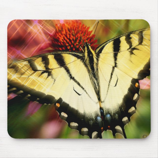 Beautiful Butterfly Mouse Pad (Front)