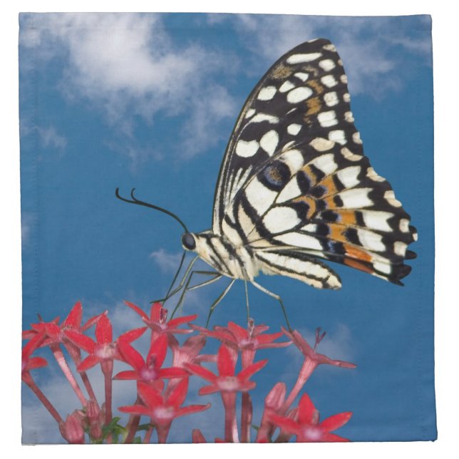 Beautiful Butterfly Napkin (Front)
